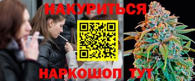 гидра Ноябрьск