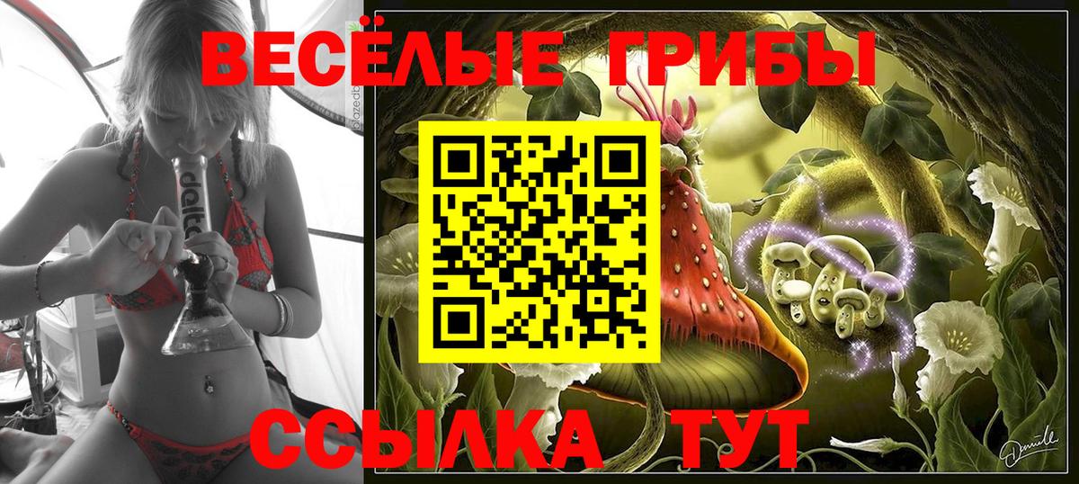 Галлюциногенные грибы Cubensis  Вход с VPN  Богородицк 